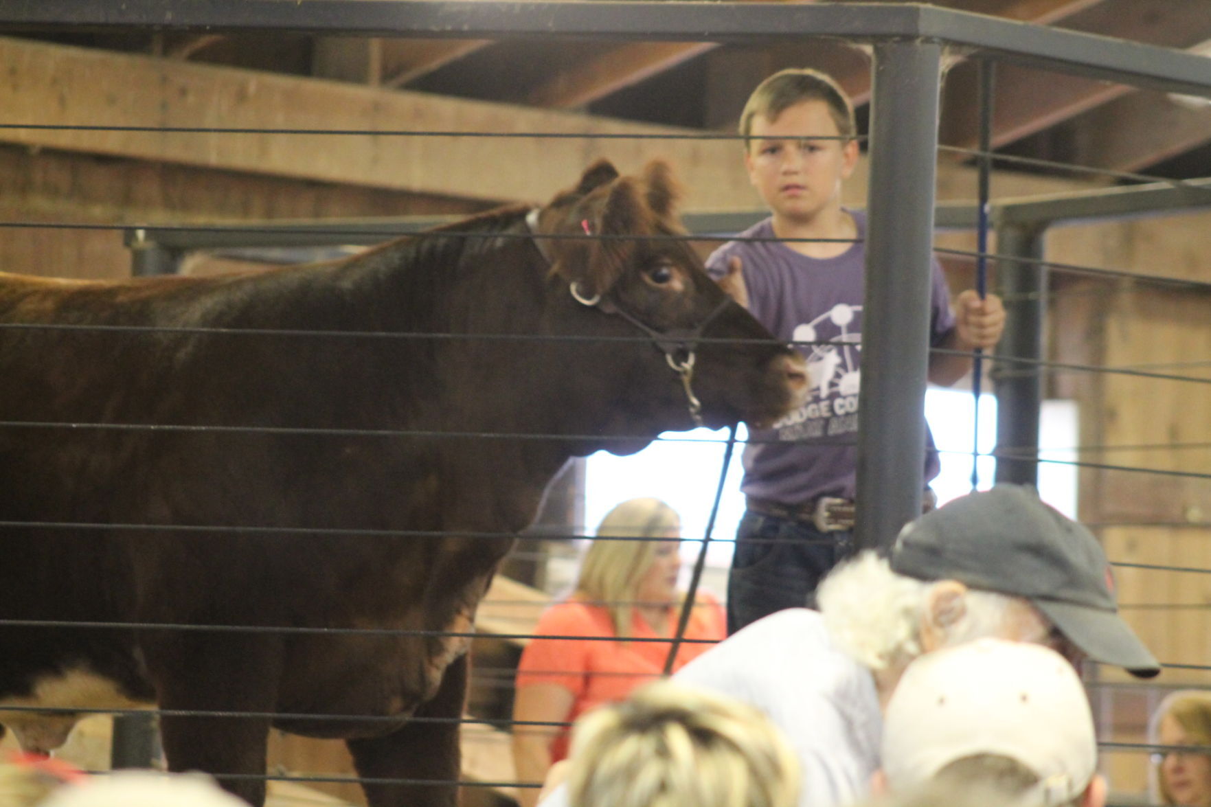 DC Fair Thursday